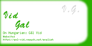 vid gal business card